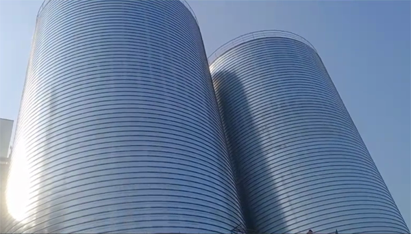 奉化2座混凝土高架卷板仓